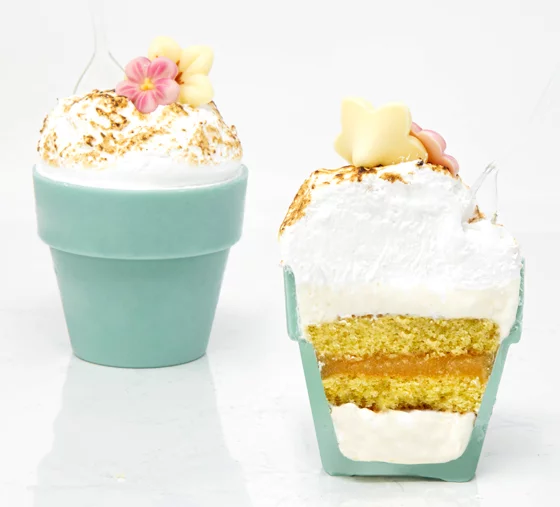 Corso di Pasticceria: Semifreddi e Monoporzioni Moderne con Leonardo Saracino